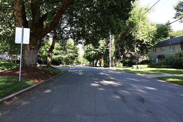 Crystal Springs SS 017