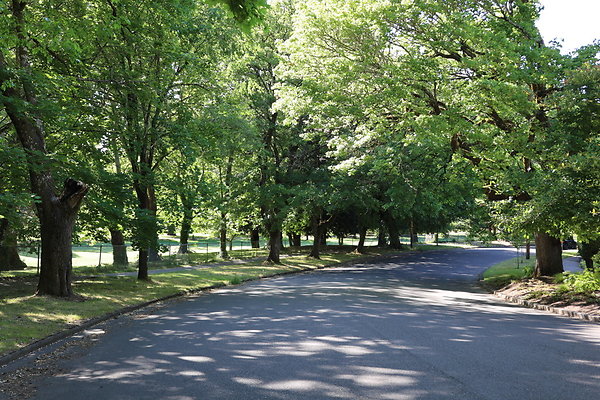 Crystal Springs SS 089