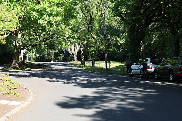 Crystal Springs SS 075