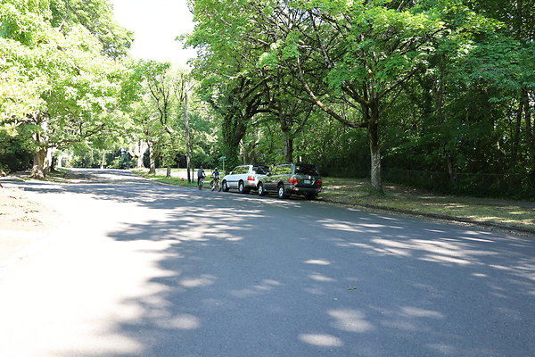 Crystal Springs SS 076