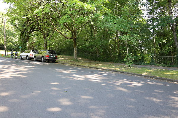 Crystal Springs SS 077