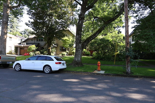 Crystal Springs SS 029