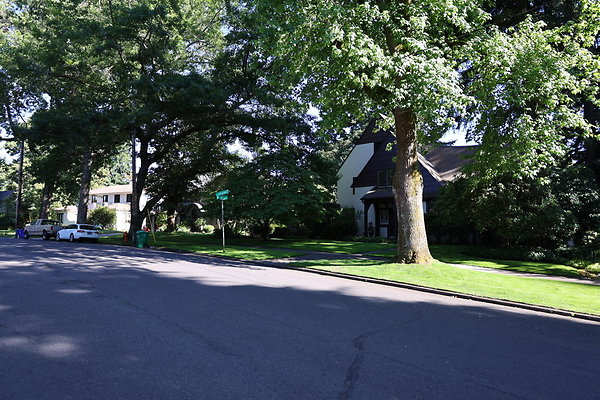 Crystal Springs SS 033