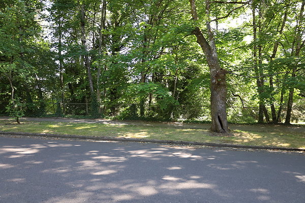 Crystal Springs SS 078