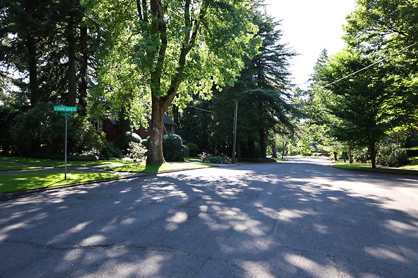 Crystal Springs SS 031