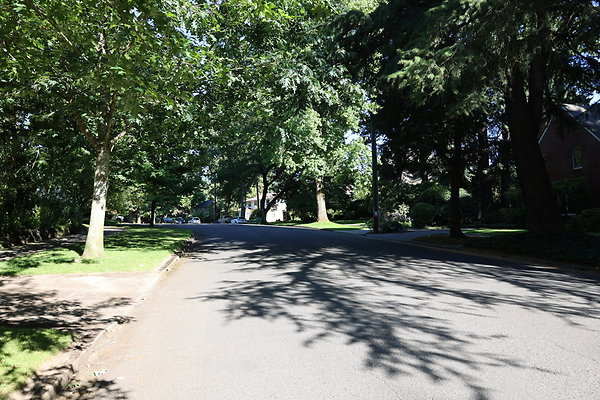 Crystal Springs SS 038