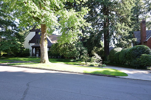 Crystal Springs SS 034