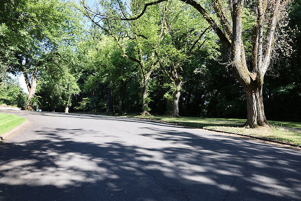 Crystal Springs SS 062