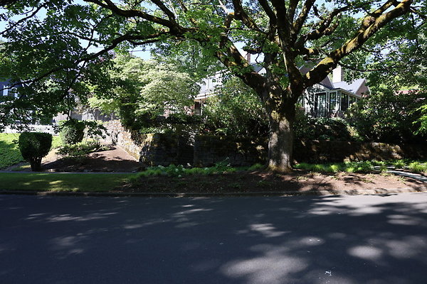 Crystal Springs SS 085