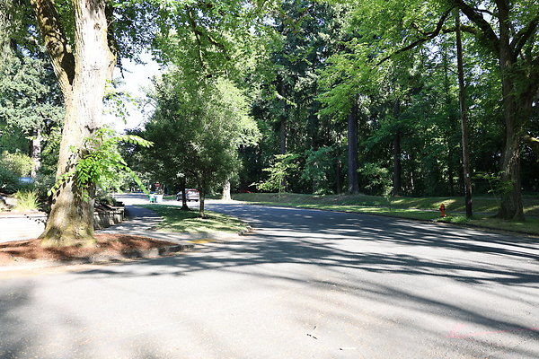 Crystal Springs SS 056