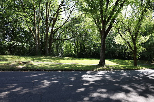 Crystal Springs SS 065