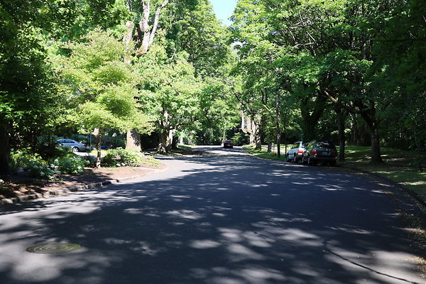 Crystal Springs SS 087