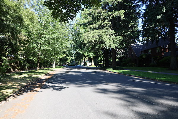 Crystal Springs SS 043