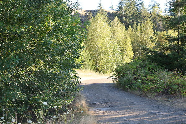 Government Island 120