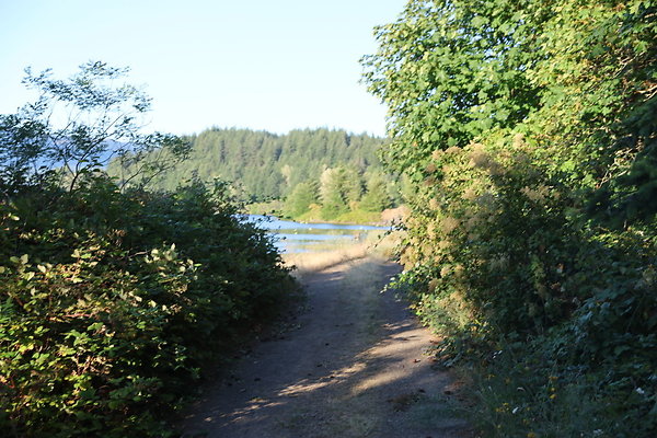 Government Island 295