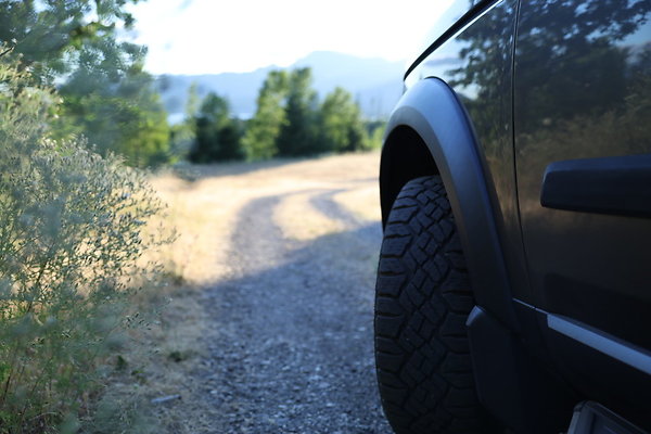 Government Island 523