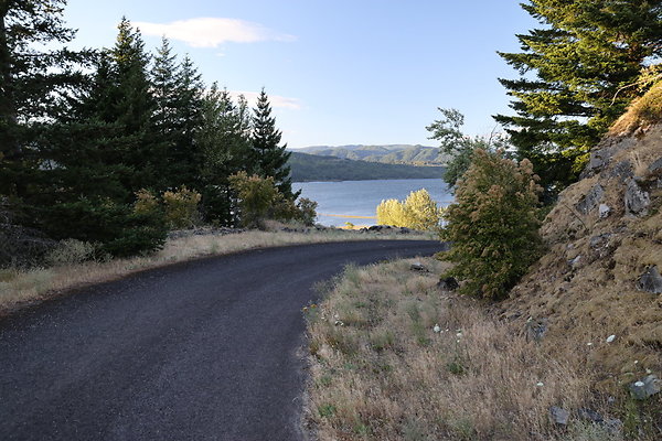 Government Island 501