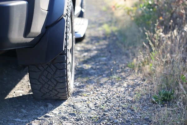 Government Island 111