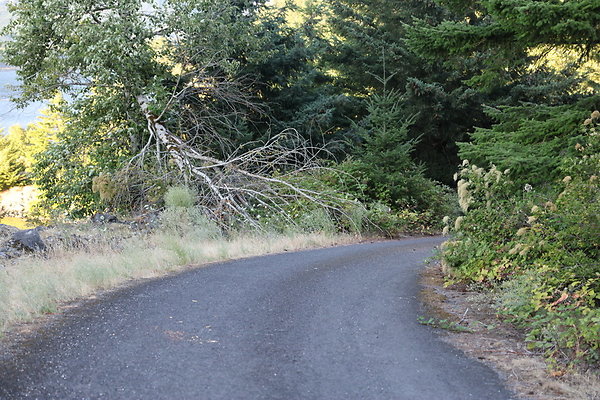 Government Island 504