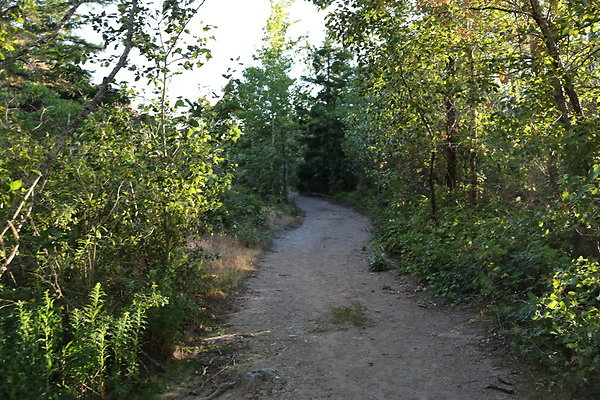 Government Island 308