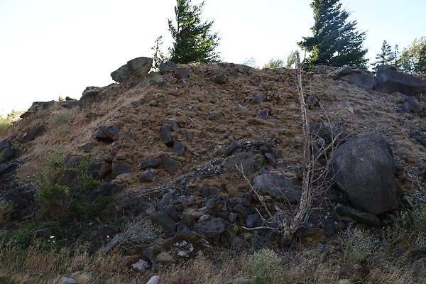 Government Island 325