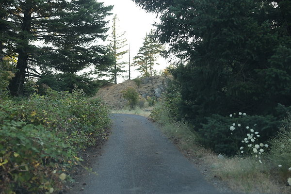 Government Island 489