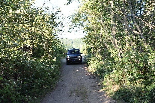 Government Island 311