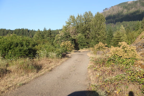 Government Island 260