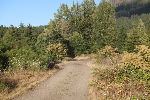 Government Island 261