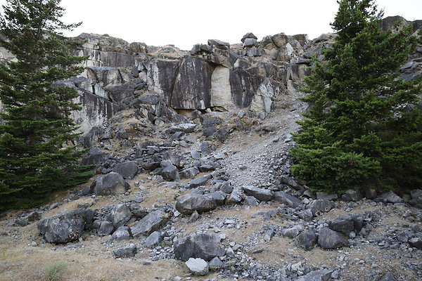 Government Island 066