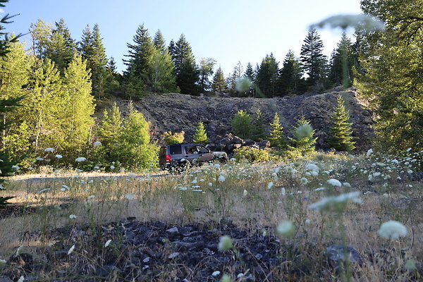 Government Island 237