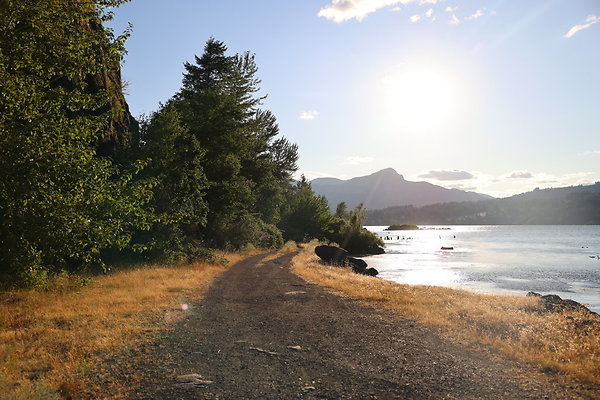 Government Island 286