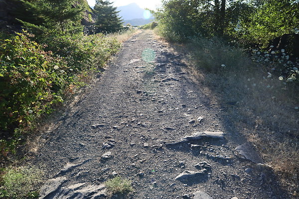 Government Island 253