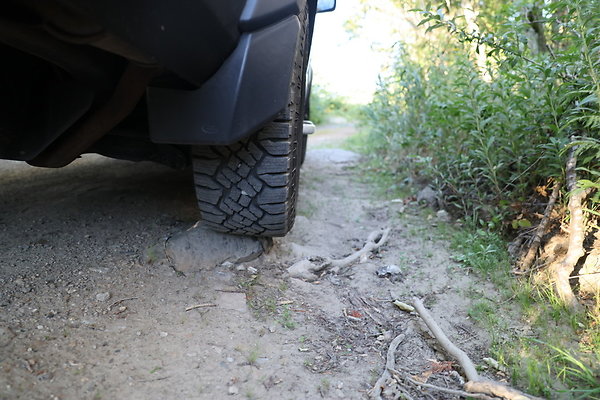 Government Island 449