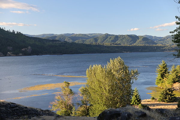 Government Island 507