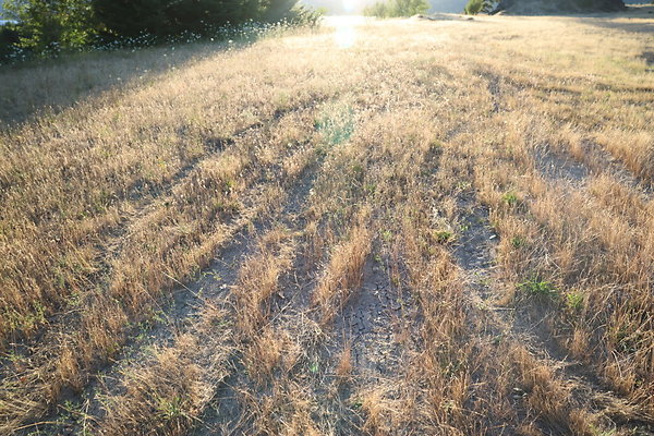 Government Island 565