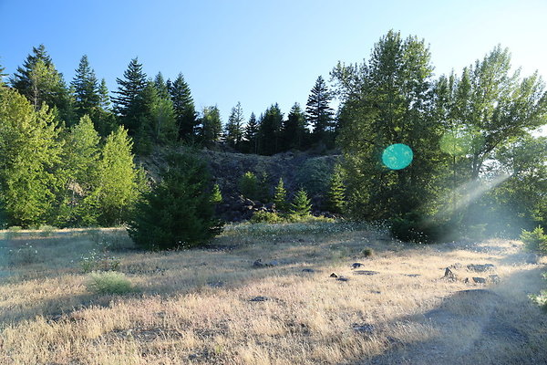 Government Island 222