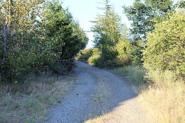 Government Island 533