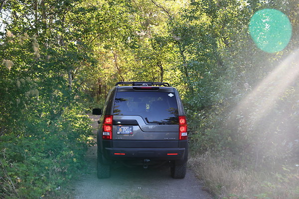 Government Island 299