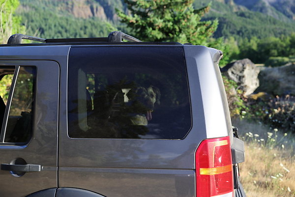 Government Island 383