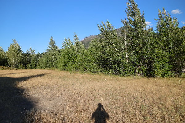 Government Island 018