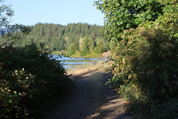 Government Island 296