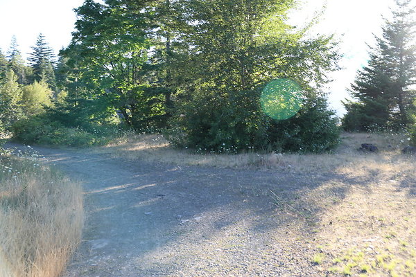 Government Island 117