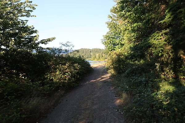 Government Island 293