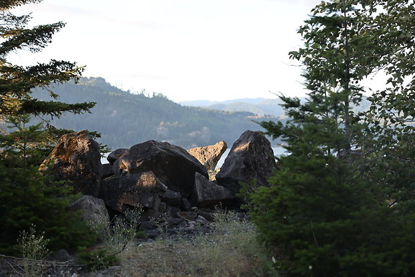 Government Island 434