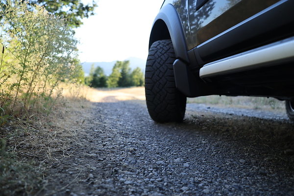 Government Island 526