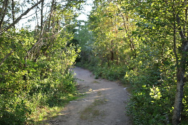 Government Island 306