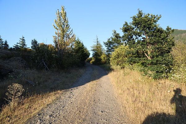 Government Island 530