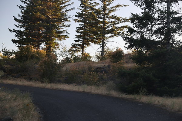 Government Island 497