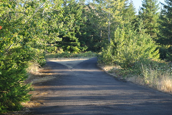 Government Island 468